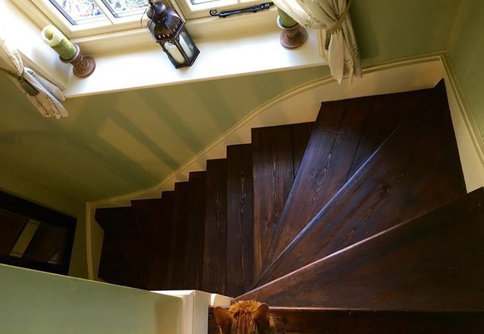 Деревянная лестница с покрытием Rustins Wood Dye Dark Teak